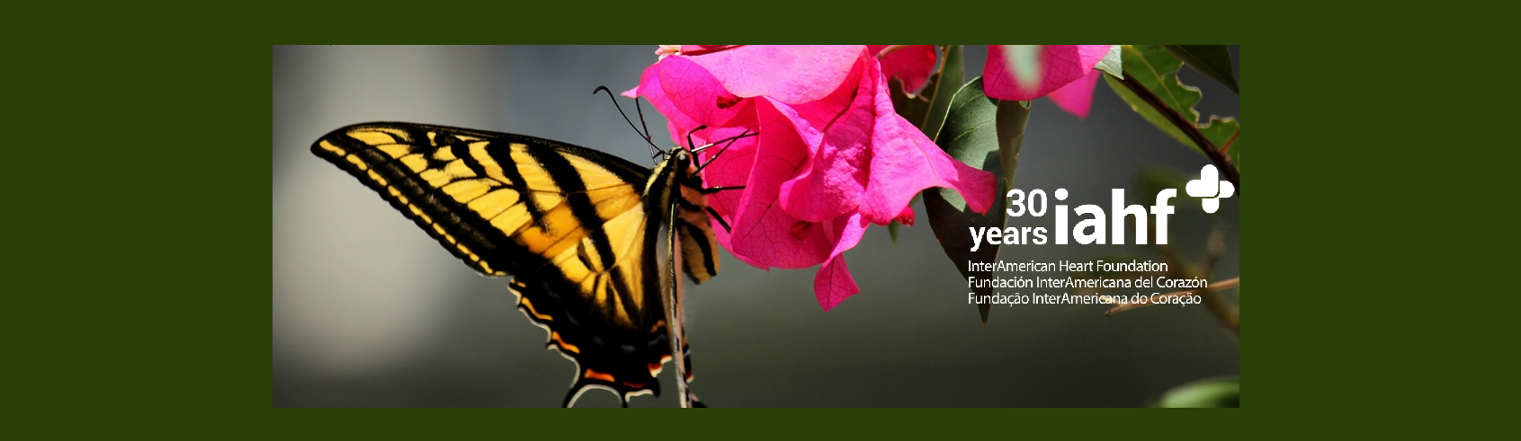 260127butterflybanner30anniv